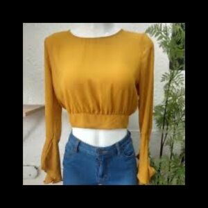 Elegant Mustard Long Sleeve Top.31